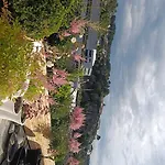 Koselig Hus Med Egen Brygge * Askoy